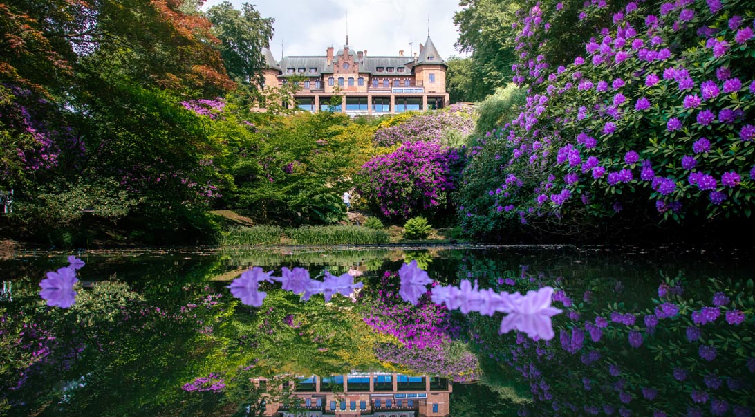 Sk�ne 18/8, 7 dagar